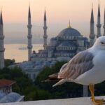 Private Istanbul Layover Tour From Airport - What’s Included and What’s Not