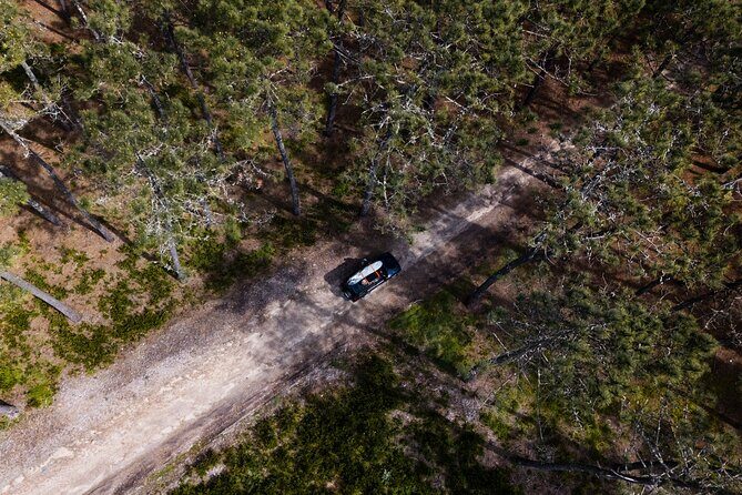 Private Jeep Tour from Oporto - What Makes This Tour Stand Out?