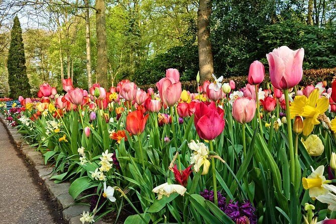 Private Keukenhof Gardens and Tulip Fields Tour from Amsterdam - Final thoughts: Is this tour right for you?