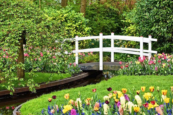 Private Keukenhof, Gardens, Windmills, cheese tour from Amsterdam - What Makes This Tour Stand Out