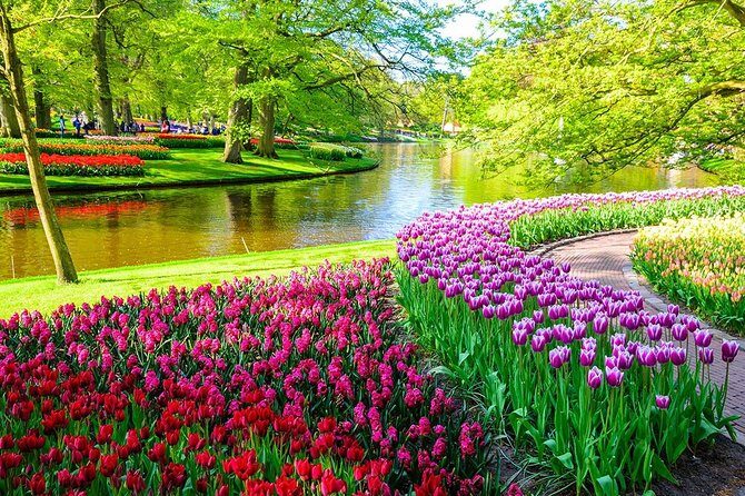 Private Keukenhof Tulip Fields Tour From Amsterdam(Skip-The-Line) - The Real Deal: What This Tour Offers