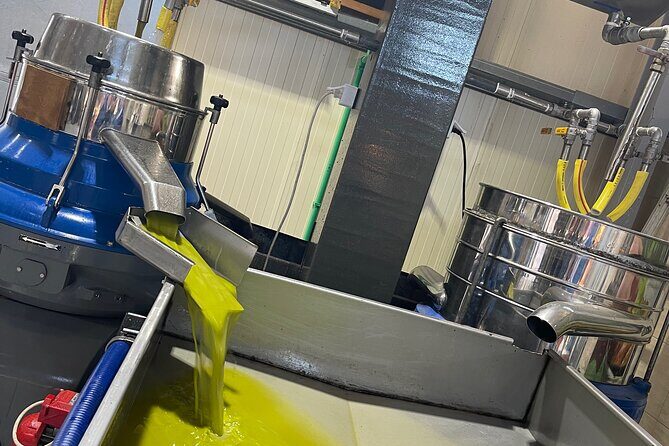 PRIVATE-Knossos-Winery-Olive Oil Factory-Traditional Villages - A Closer Look at the Itinerary