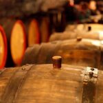 Private Lake Balaton Experience with an unforgettable Wine Tasting - The Overall Experience