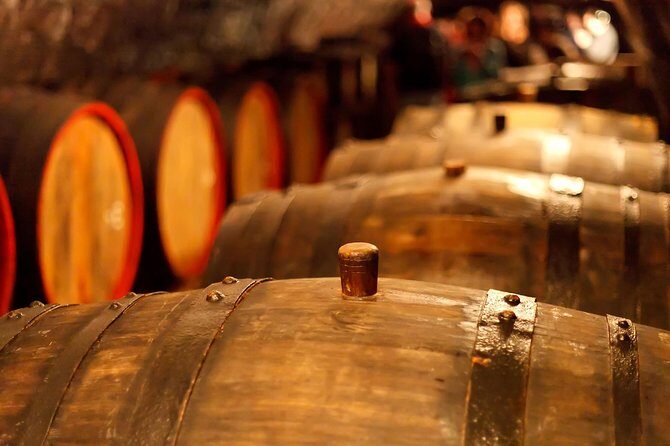 Private Lake Balaton Experience with an unforgettable Wine Tasting - The Overall Experience