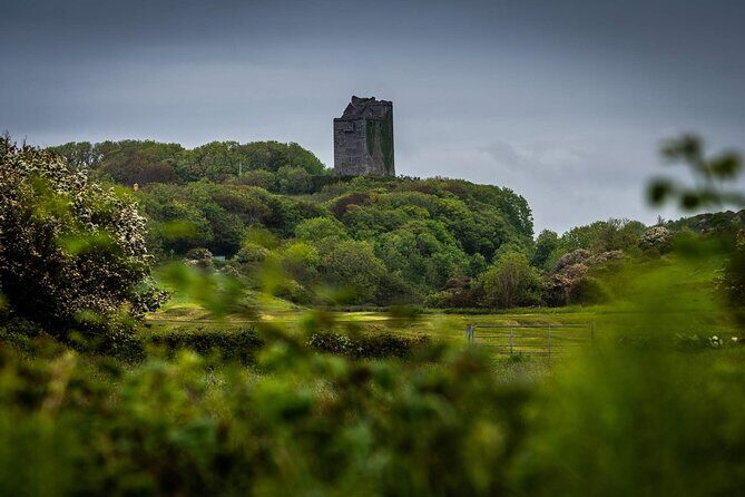 Private Limousine hire Cliffs of Moher Day Tour - Who Should Consider This Tour?