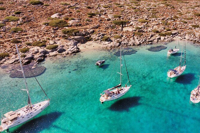 Private luxury Escape Sailing, Snorkel and Lunch Cruise - Who Should Book This Tour?