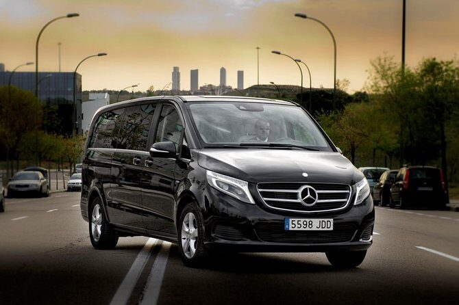 Private Luxury Van Departure from Copenhagen to Copenhagen Port - The Ride: Comfort and Convenience