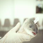 Private Mediterranean Fish Cooking Workshop with Irena - The Value of the Experience