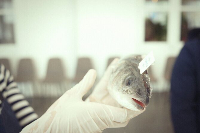 Private Mediterranean Fish Cooking Workshop with Irena - The Value of the Experience