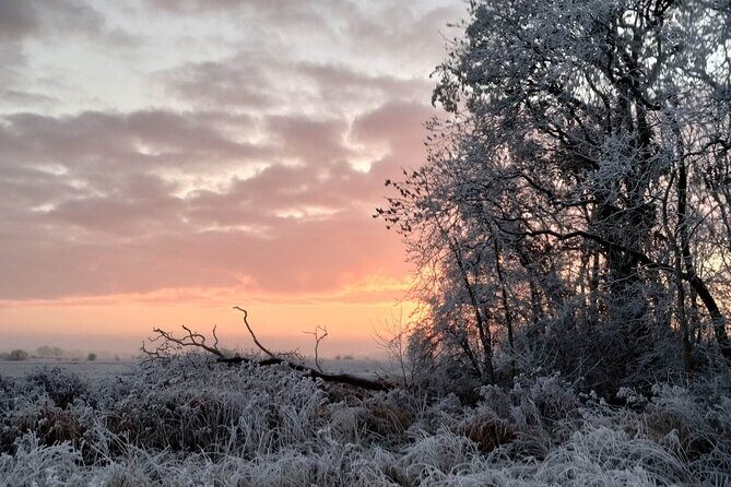 Private Miniature Horse Walking near Lincoln - What to Expect from Your Miniature Horse Walk