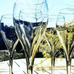 Private Montserrat Tour, Organic Winery & Authentic Local Lunch - Frequently Asked Questions (FAQs)