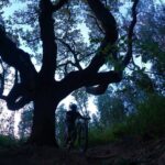 Private MTB Enduro Trail Tour in Sintra - Cascais Natural park - The Logistics: What’s Included and What Not