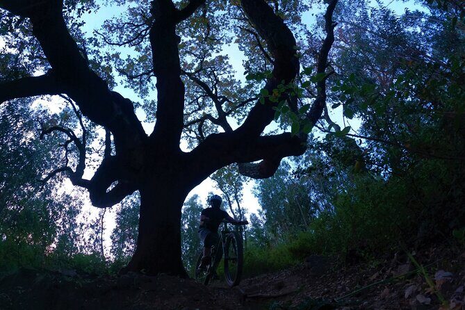 Private MTB Enduro Trail Tour in Sintra - Cascais Natural park - The Logistics: What’s Included and What Not