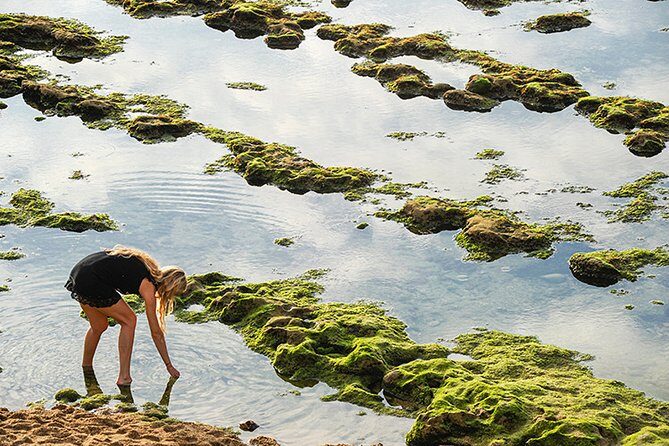 Private Photographic Walk in Biarritz - What Do the Reviews Say?