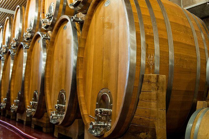 Private PICNIC in Bohemian Vineyards and Wine Tasting 4WD Tour - The Experience in Detail: What Sets It Apart