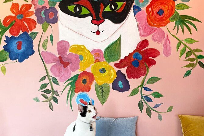 Private Reykjavik Cat Walking Tour - FAQs