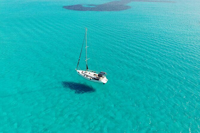 Private sailing with Paella and Tapas in Palma - The Real Deal: What the Reviews Show