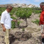 Private Santorini Wine Adventure in 3 Wineries with 12 Tastings - The Itinerary Breakdown: What You’ll Actually Do