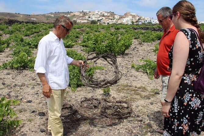 Private Santorini Wine Adventure in 3 Wineries with 12 Tastings - The Itinerary Breakdown: What You’ll Actually Do