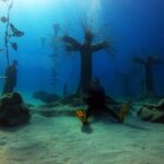 Private Scuba Diving Experience in Cyprus - What Makes This Experience Stand Out?