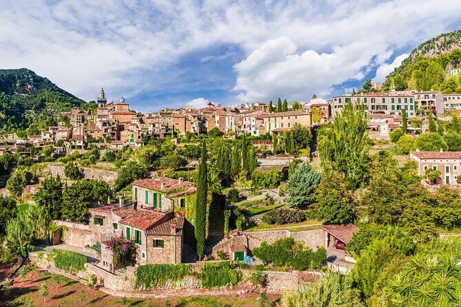 Private Shore Excursion to Valldemossa and Palma de Mallorca - What Makes This Tour Stand Out?