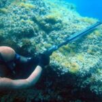 Private Spearfishing Trip From Athens - The Price and What It’s Worth