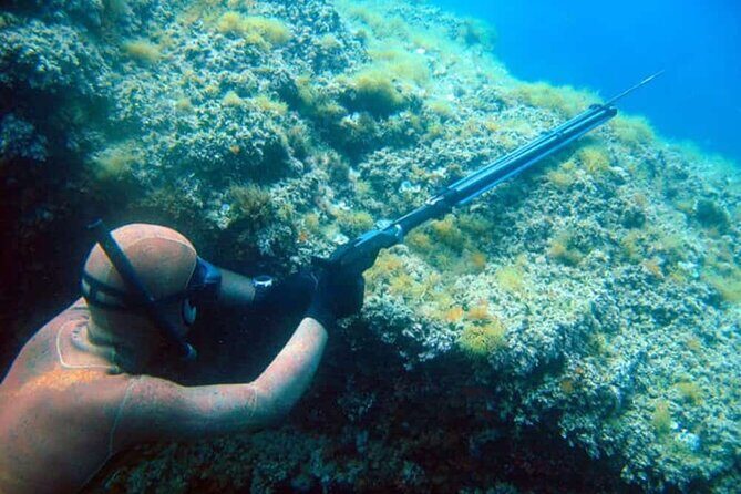 Private Spearfishing Trip From Athens - The Price and What It’s Worth