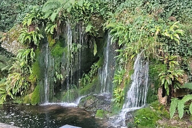 Private Taxi Tour of Blarney Castle ,Cork ,Kinsale 5 Star Rated - What’s Included and What’s Not