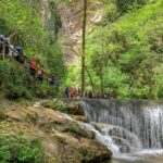 Private Tour: Amalfi Valle delle Ferriere Nature Reserve Walking Tour - Final Thoughts: Who Should Book This Tour?