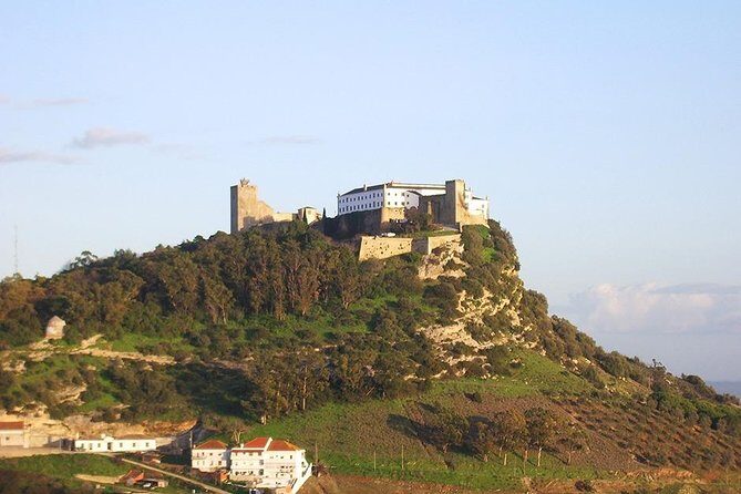 Private Tour: Arrábida Day Trip from Lisbon Including Wine Tasting - Authentic Insights from Past Travelers