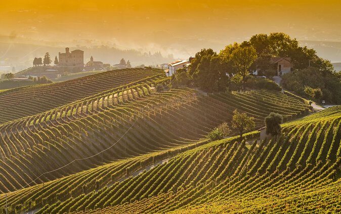 Private Tour: Barolo Wine Tasting in Langhe area from Torino - The Itinerary in Detail