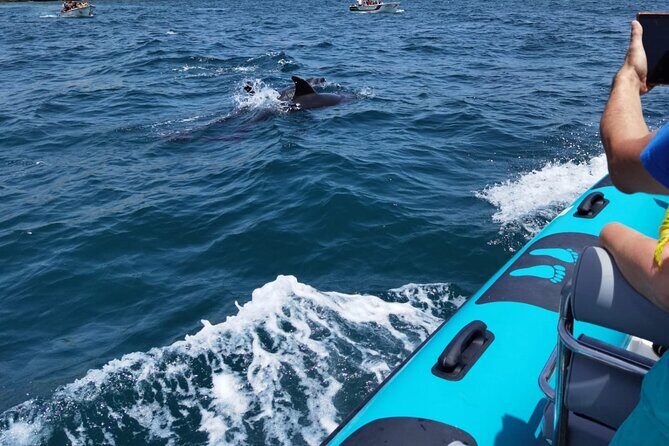 Private Tour Benagil Caves from Portimao - Who Would Love This Tour?