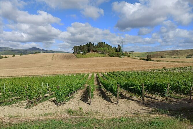 PRIVATE TOUR: Chianti Afternoon tour with visit to 2 wine farms - Who Should Consider This Tour?