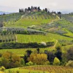 Private tour from Livorno port to Chianti Wine Region - Who Is This Tour Best For?