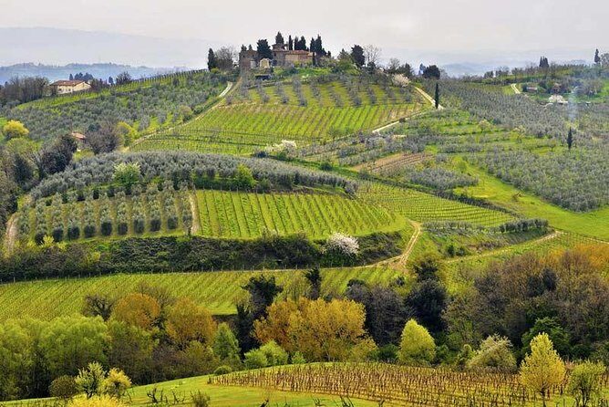 Private tour from Livorno port to Chianti Wine Region - Who Is This Tour Best For?