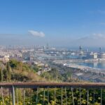 Private tour in Barcelona - What Travelers Say