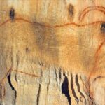 Private Tour into an Original Prehistoric Cave by EXPLOREO SARLAT - Who Will Love This Tour?