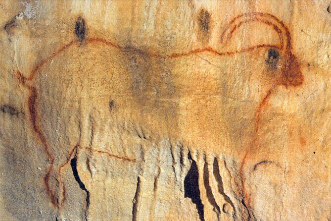 Private Tour into an Original Prehistoric Cave by EXPLOREO SARLAT - Who Will Love This Tour?