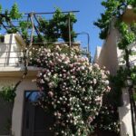 Private Tour-Knossos Palace Zeus Cave&Olive Oil Mill from Elounda - The Sum Up