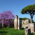 Private Tour of Ancient Ostia with Exclusive Guide and Skip-the-line Tickets - The Practical Side: Logistics and Price