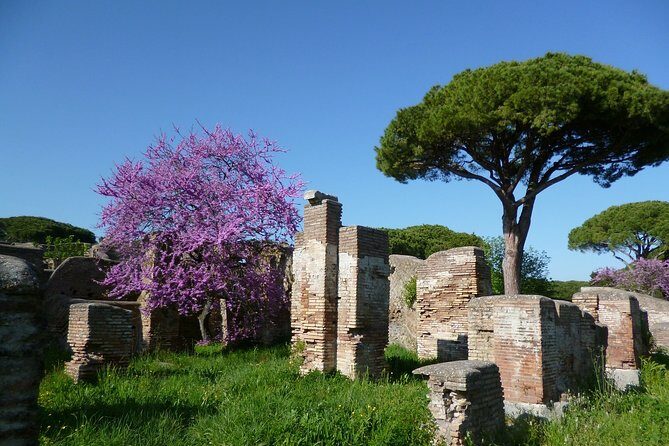 Private Tour of Ancient Ostia with Exclusive Guide and Skip-the-line Tickets - The Practical Side: Logistics and Price
