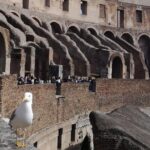 Private tour of Colosseo - What We Loved About the Tour