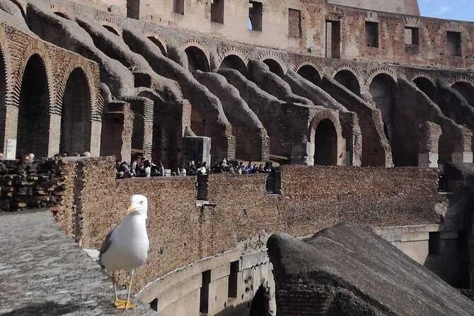 Private tour of Colosseo - What We Loved About the Tour