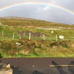 Private Tour of Dingle Peninsula from Killarney - What’s Included and What’s Not