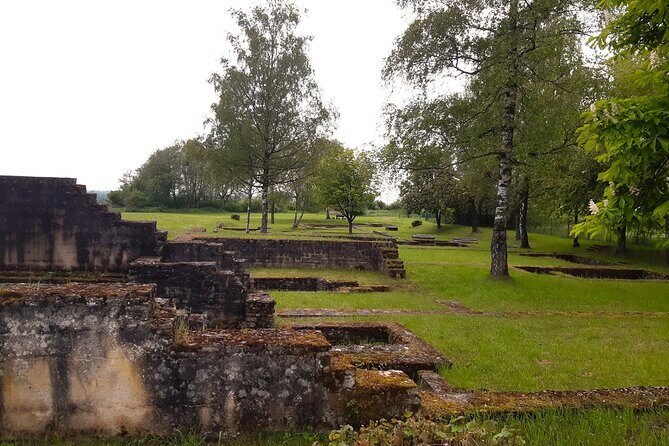 Private Tour of Luxembourg City and the Countryside - The Real-World Experience: Feedback from Travelers