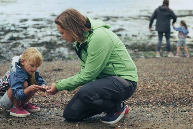 Private Tour of Scottish Highlands, Loch Lomond and castles - Practical Considerations and What to Expect