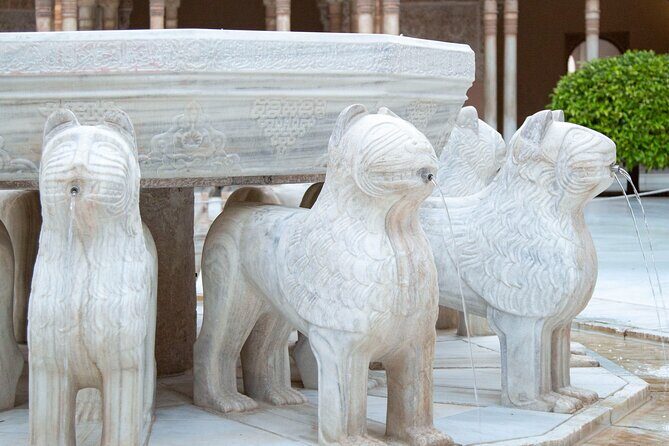 Private Tour of the Alhambra of Granada - Practical Details and What It Means for You