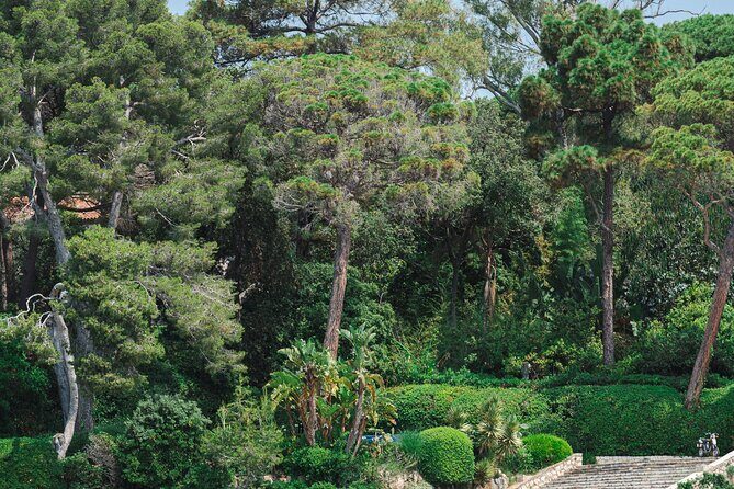 Private tour on a sailboat Swim and stand up paddle Antibes cape - The Water Activities: Swimming, Paddleboarding, and Snorkeling