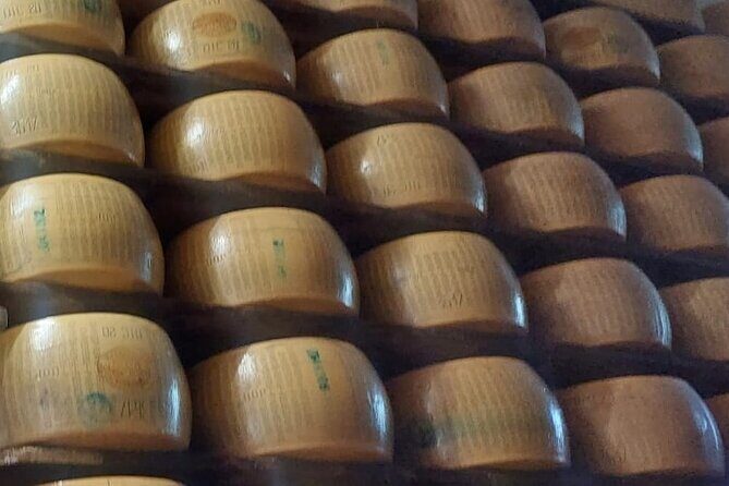 Private Tour Parmigiano,Prosciutto,Balsamico with driver-Bologna - What the Reviews Say