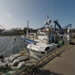 Private Tour: Ring of Beara from Kenmare. - An In-Depth Look at the Itinerary